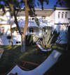Danai Beach Resort & Villas 